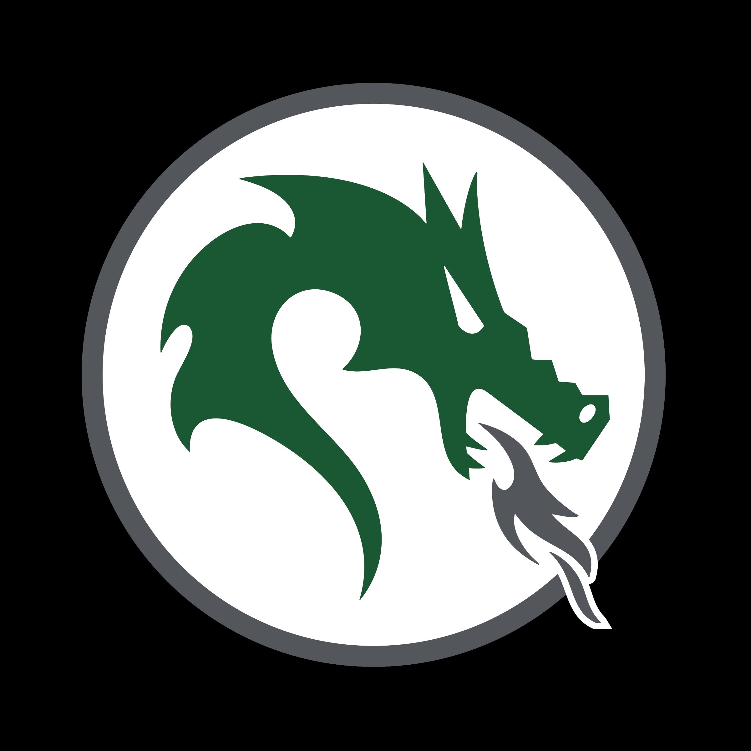 YAKSAK TEAM PATCHES: M - Q