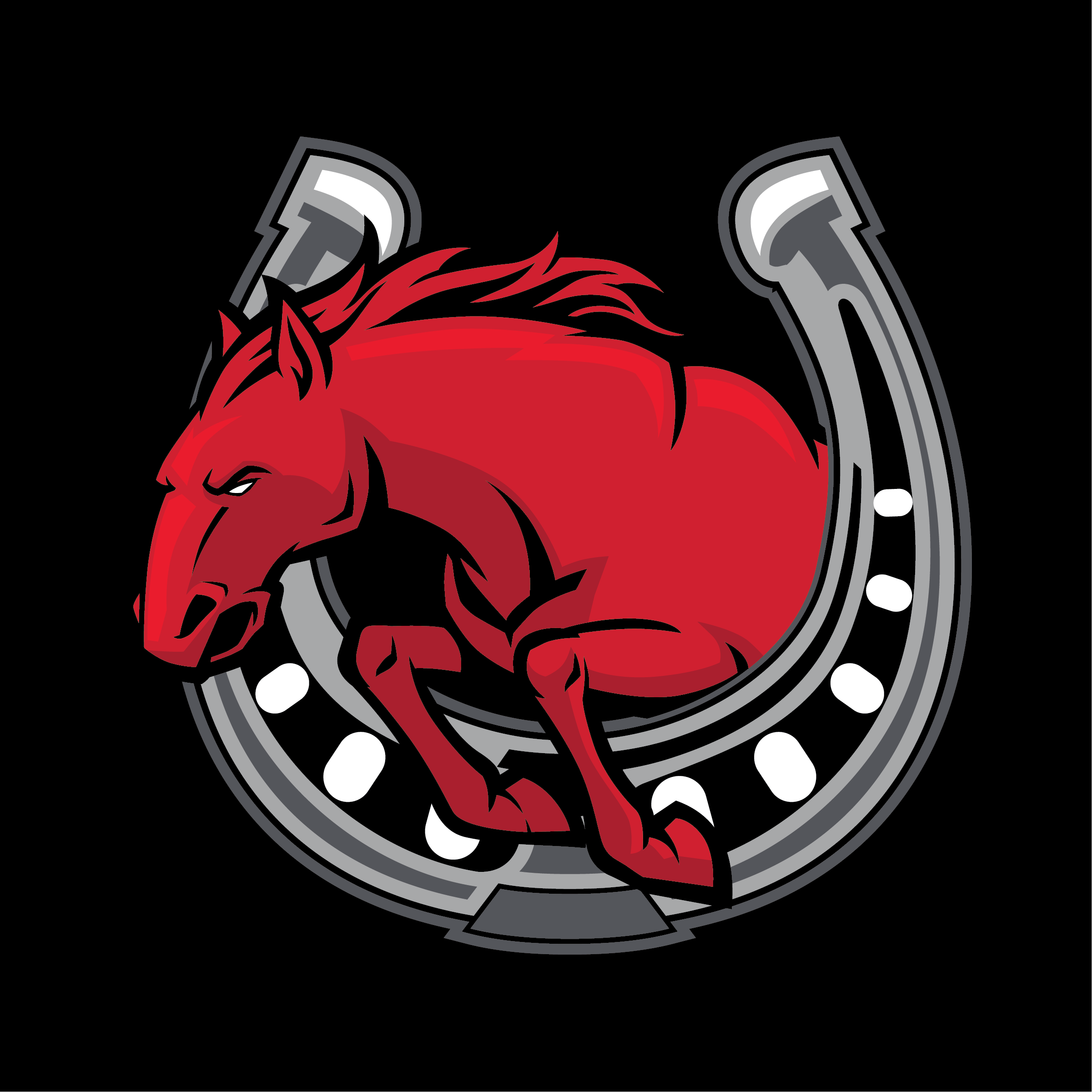 YAKSAK TEAM PATCHES: R - Z