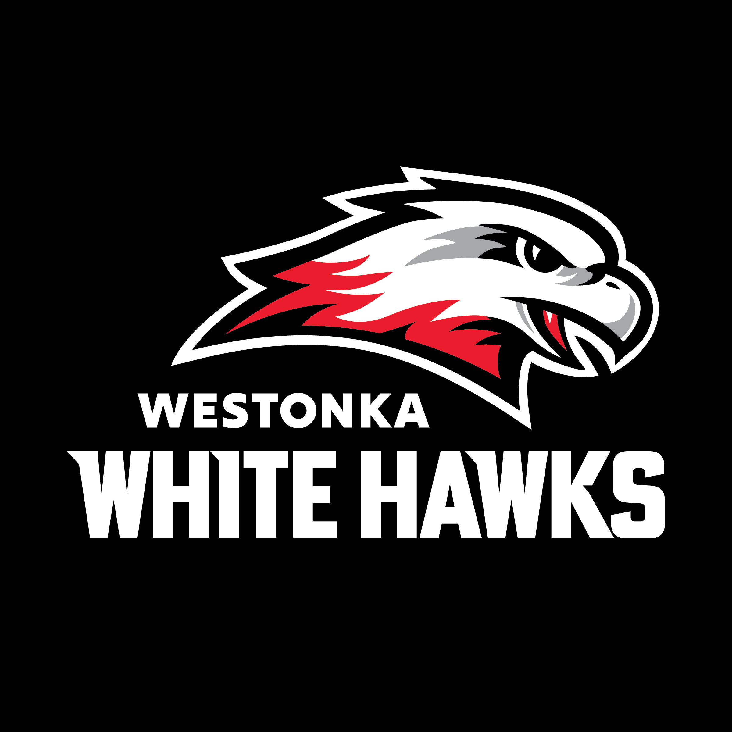 YAKSAK TEAM PATCHES: R - Z