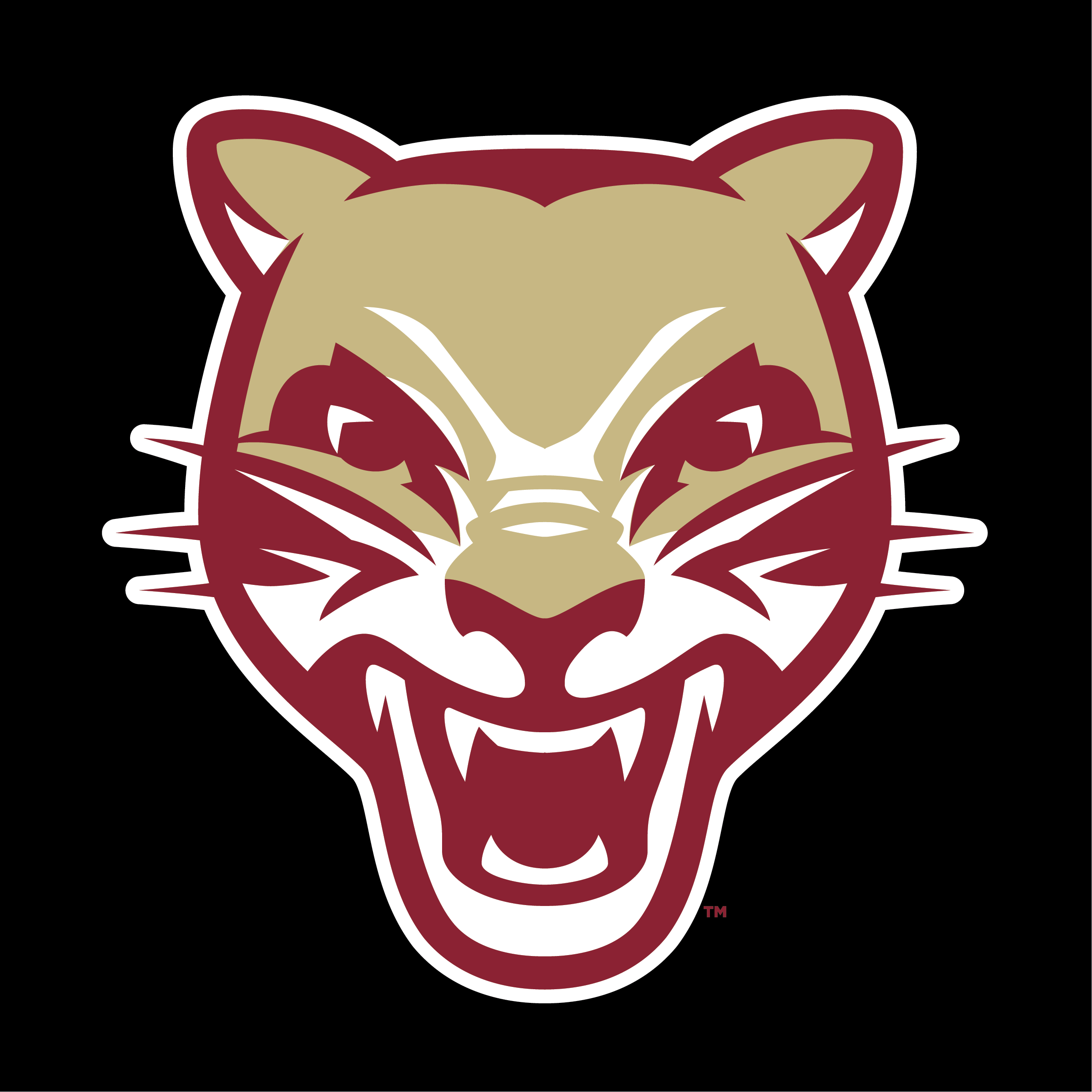 YAKSAK TEAM PATCHES: E - L