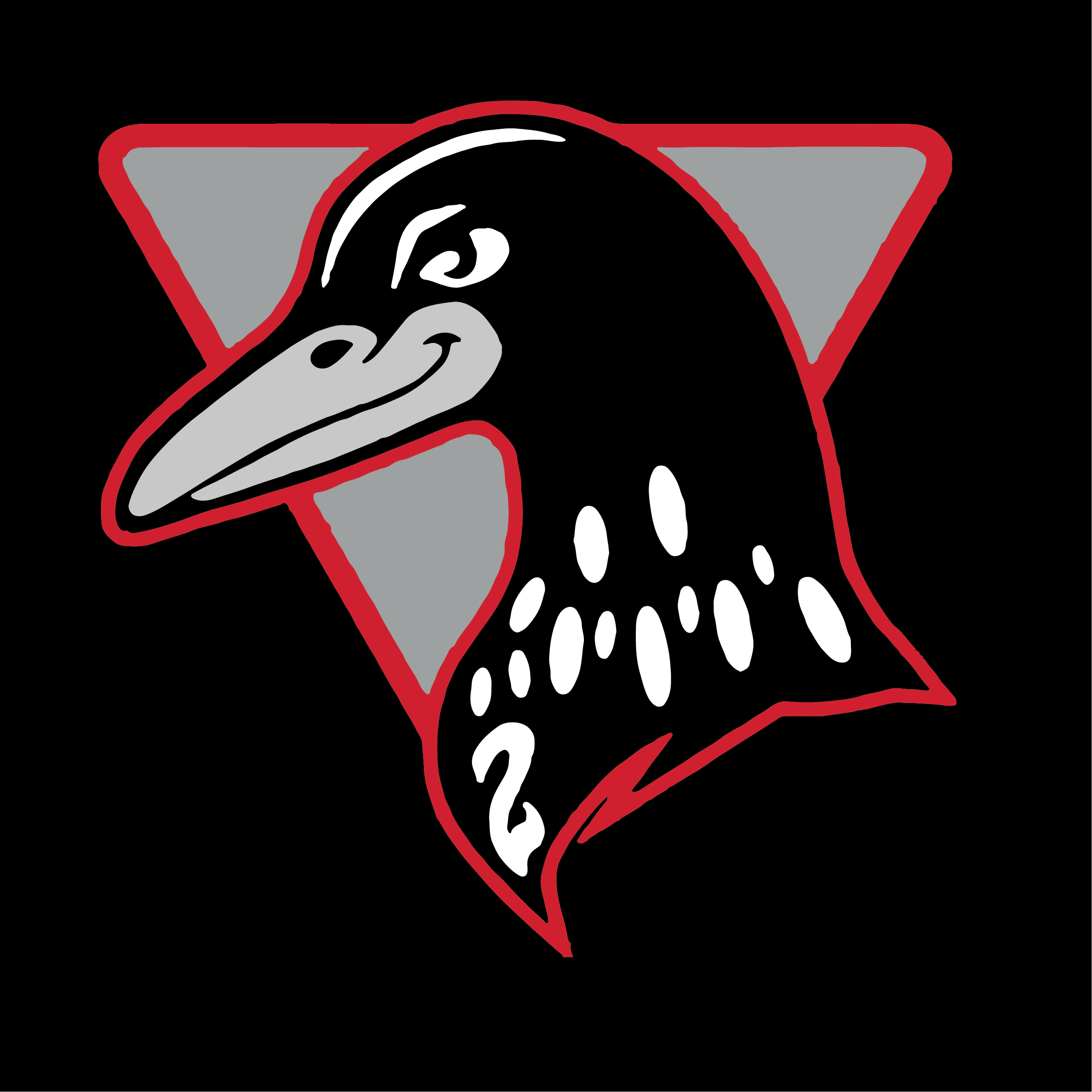 YAKSAK TEAM PATCHES: R - Z