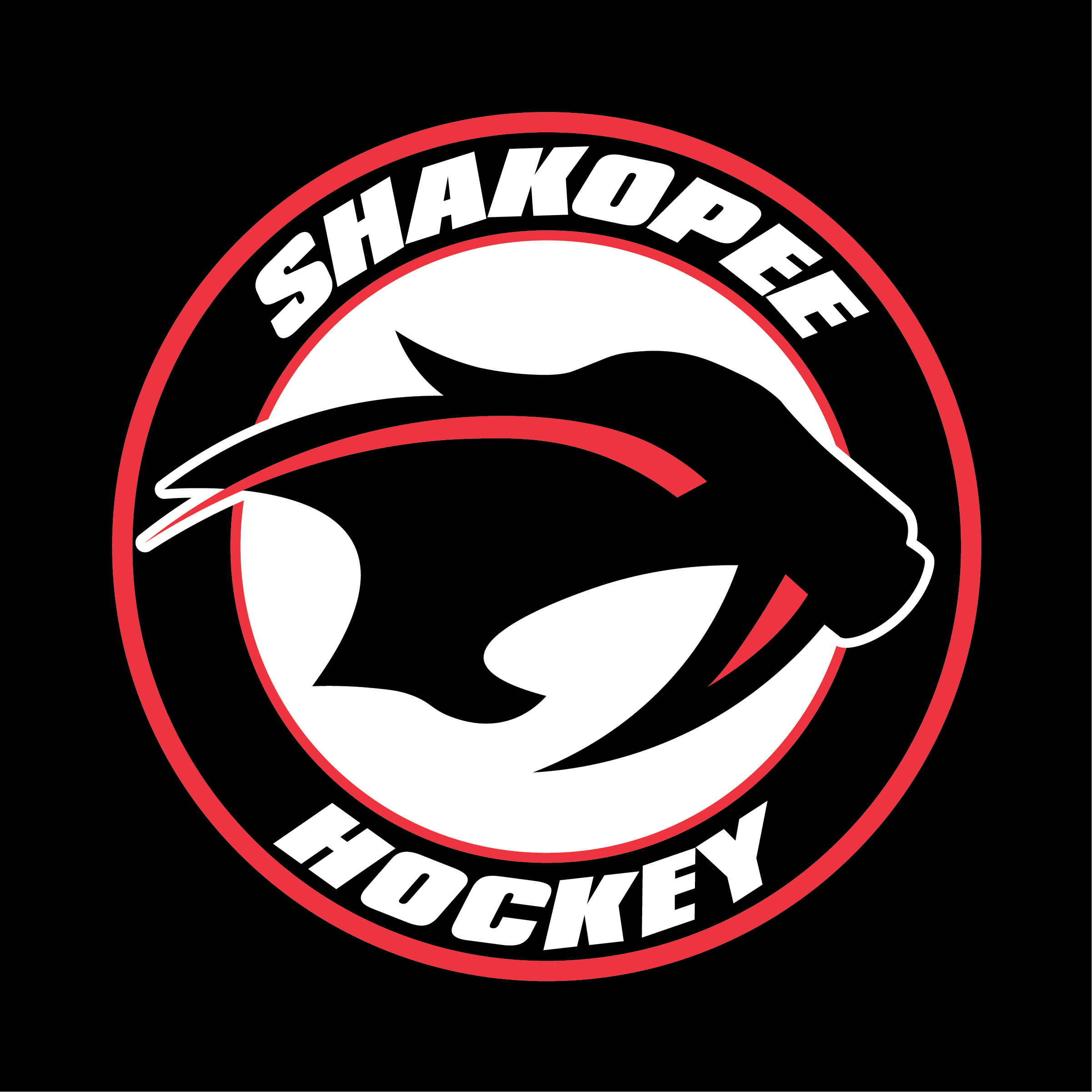 YAKSAK TEAM PATCHES: R - Z