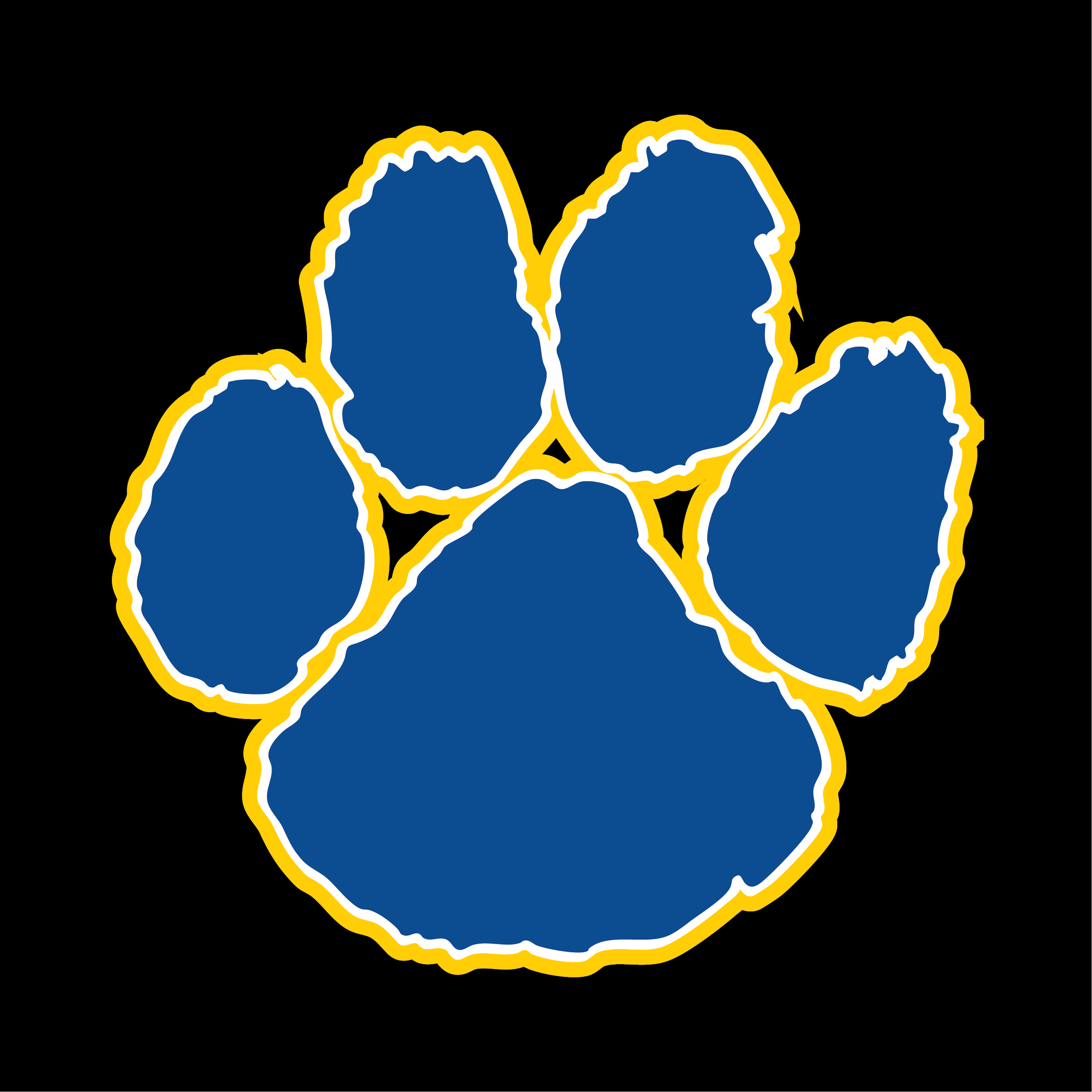 YAKSAK TEAM PATCHES: R - Z