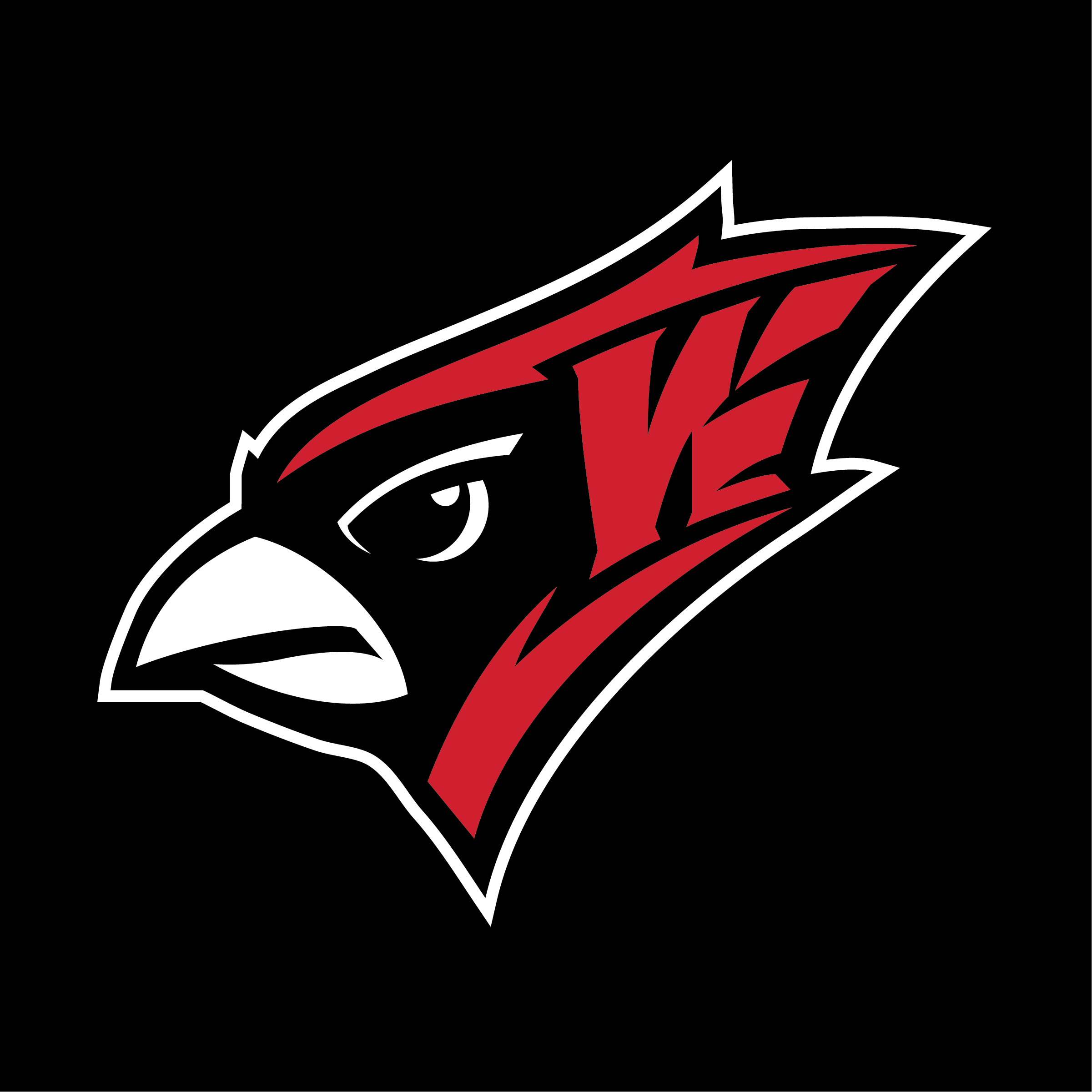 YAKSAK TEAM PATCHES: R - Z