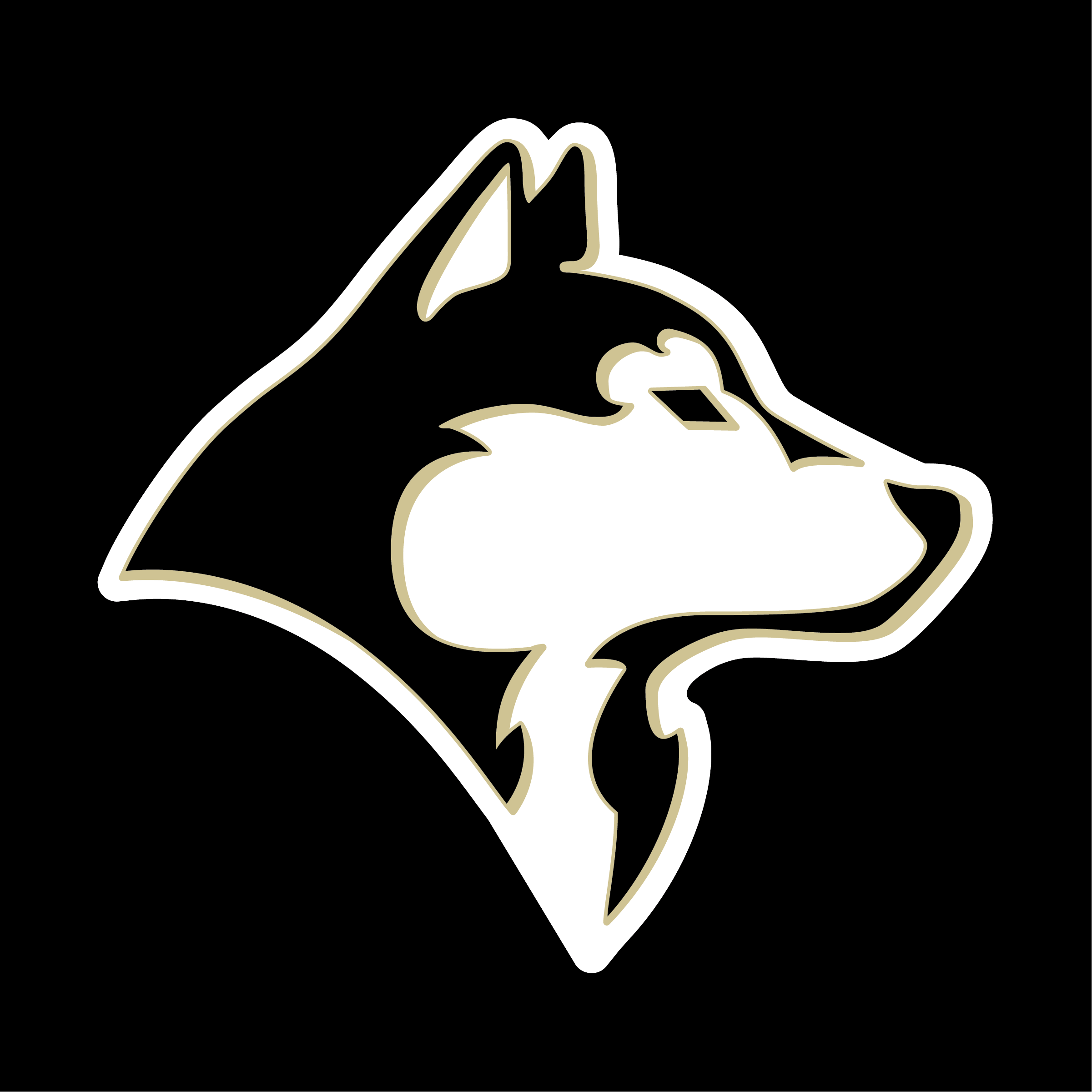 YAKSAK TEAM PATCHES: A - D