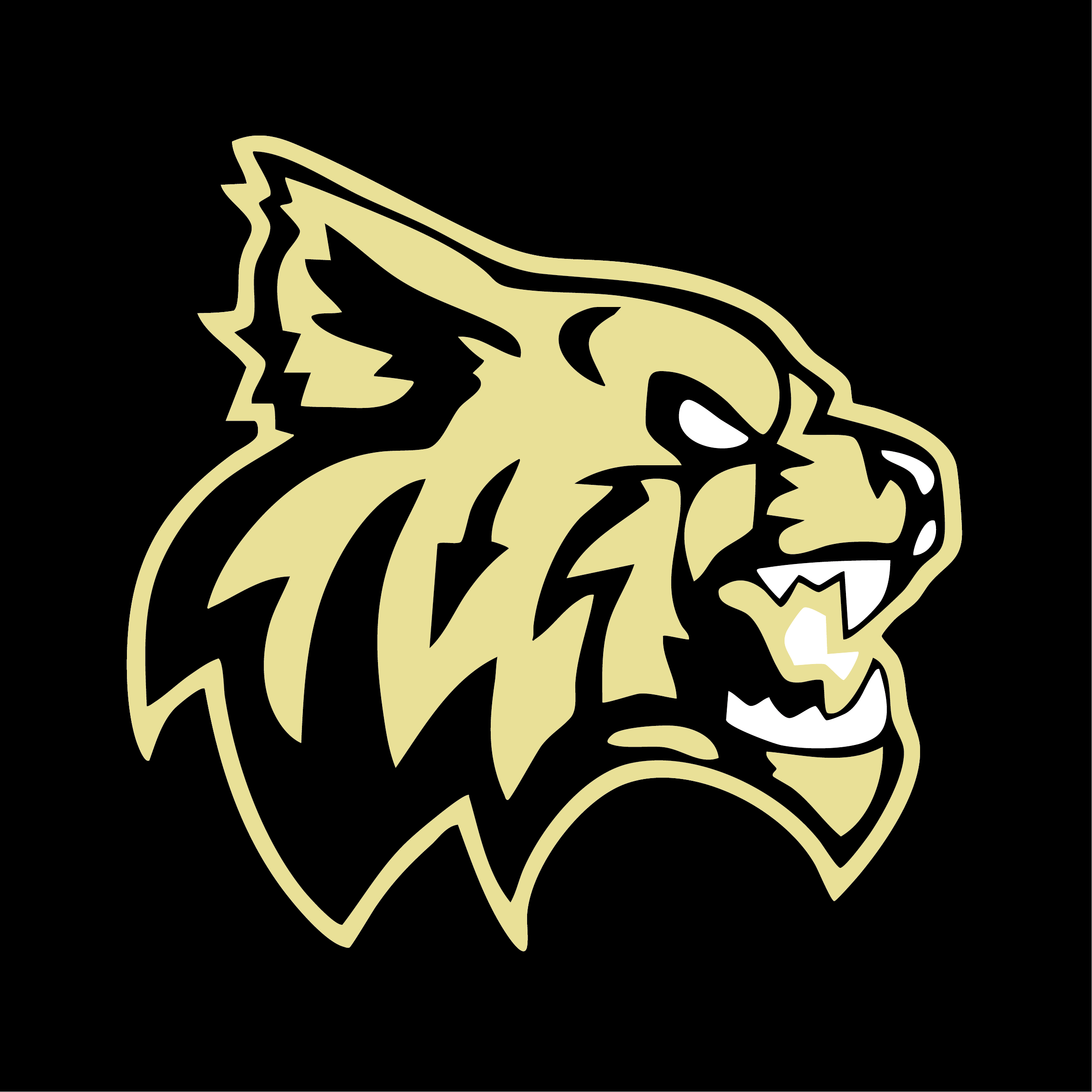 YAKSAK TEAM PATCHES: A - D