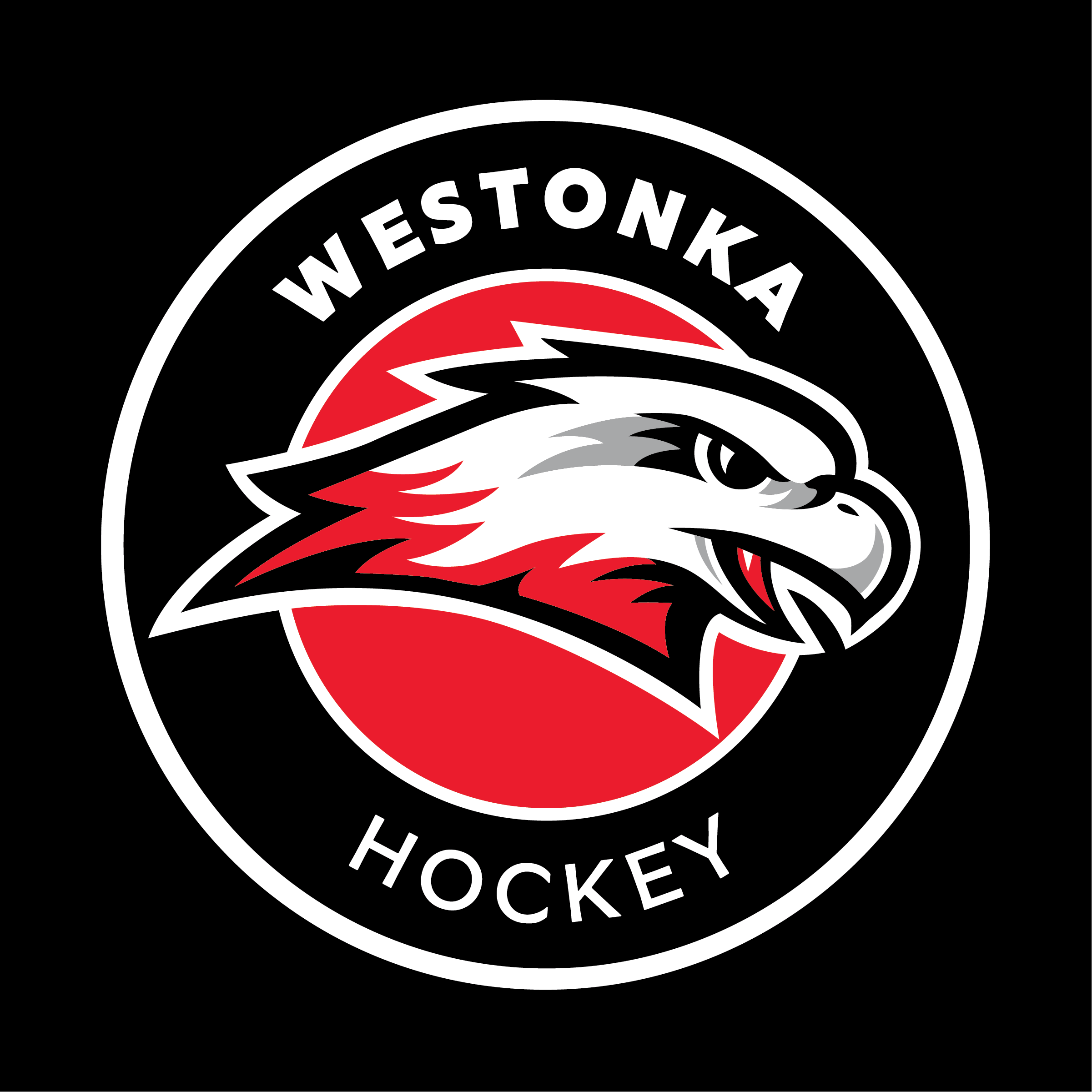 YAKSAK TEAM PATCHES: R - Z