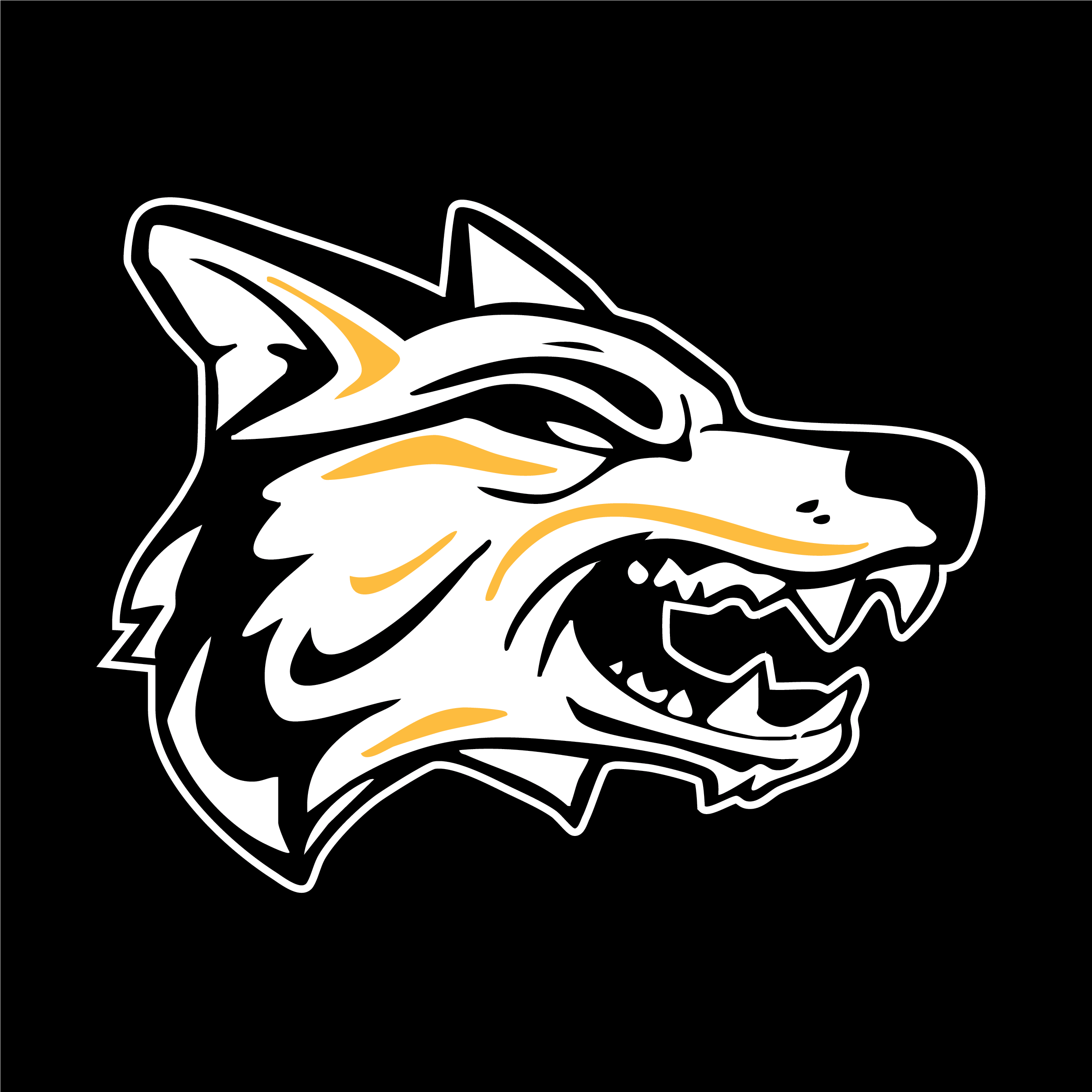 YAKSAK TEAM PATCHES: M - Q