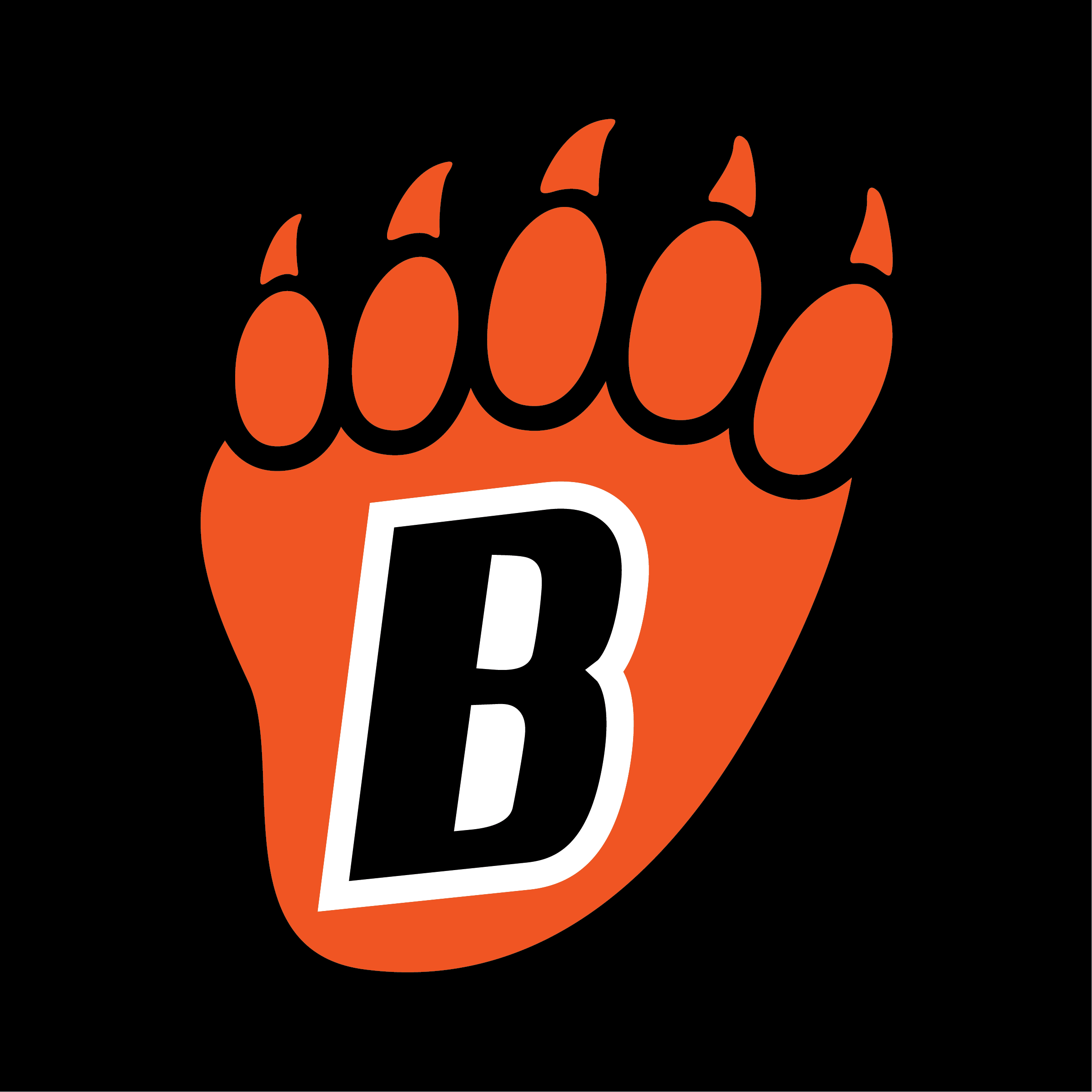 YAKSAK TEAM PATCHES: R - Z