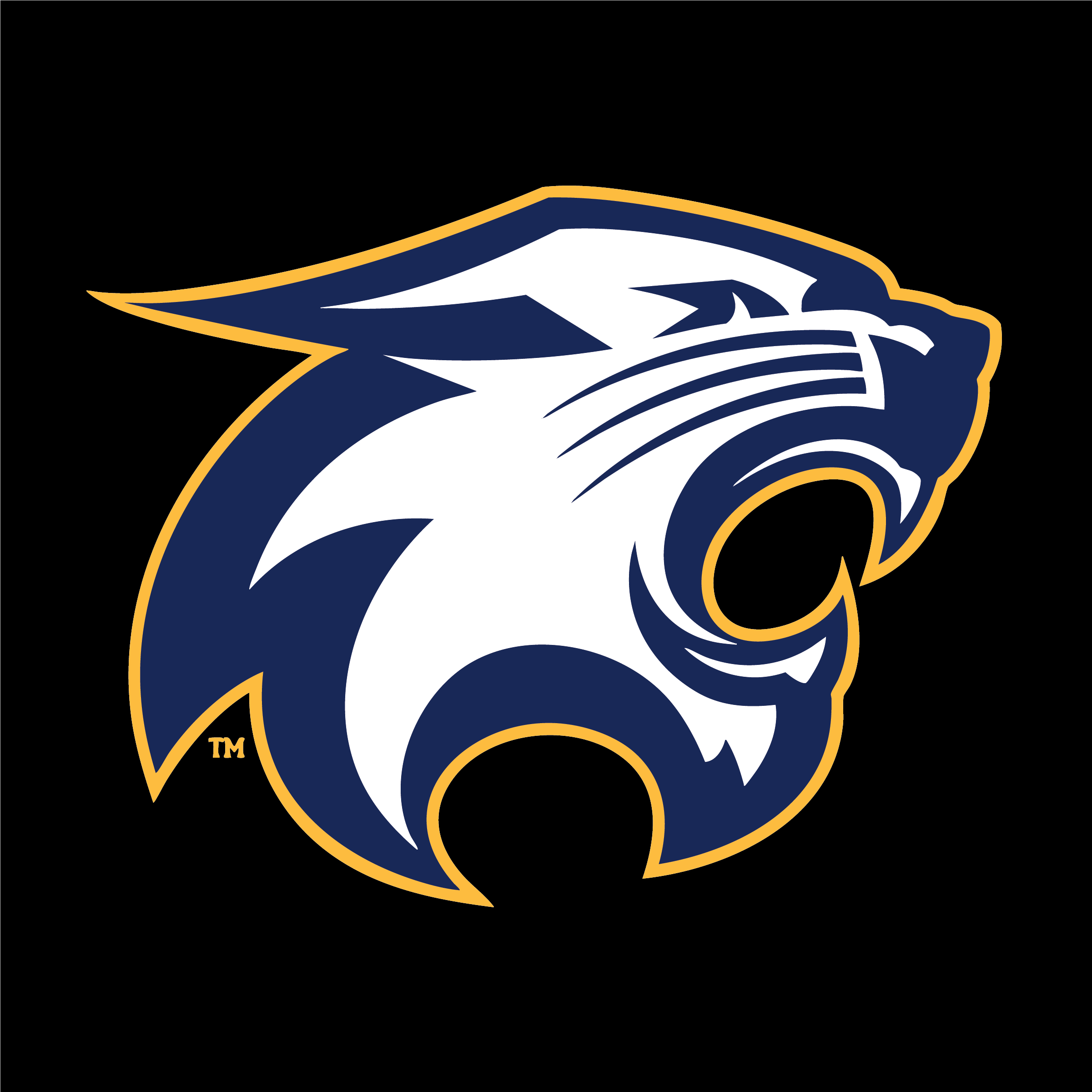 YAKSAK TEAM PATCHES: R - Z