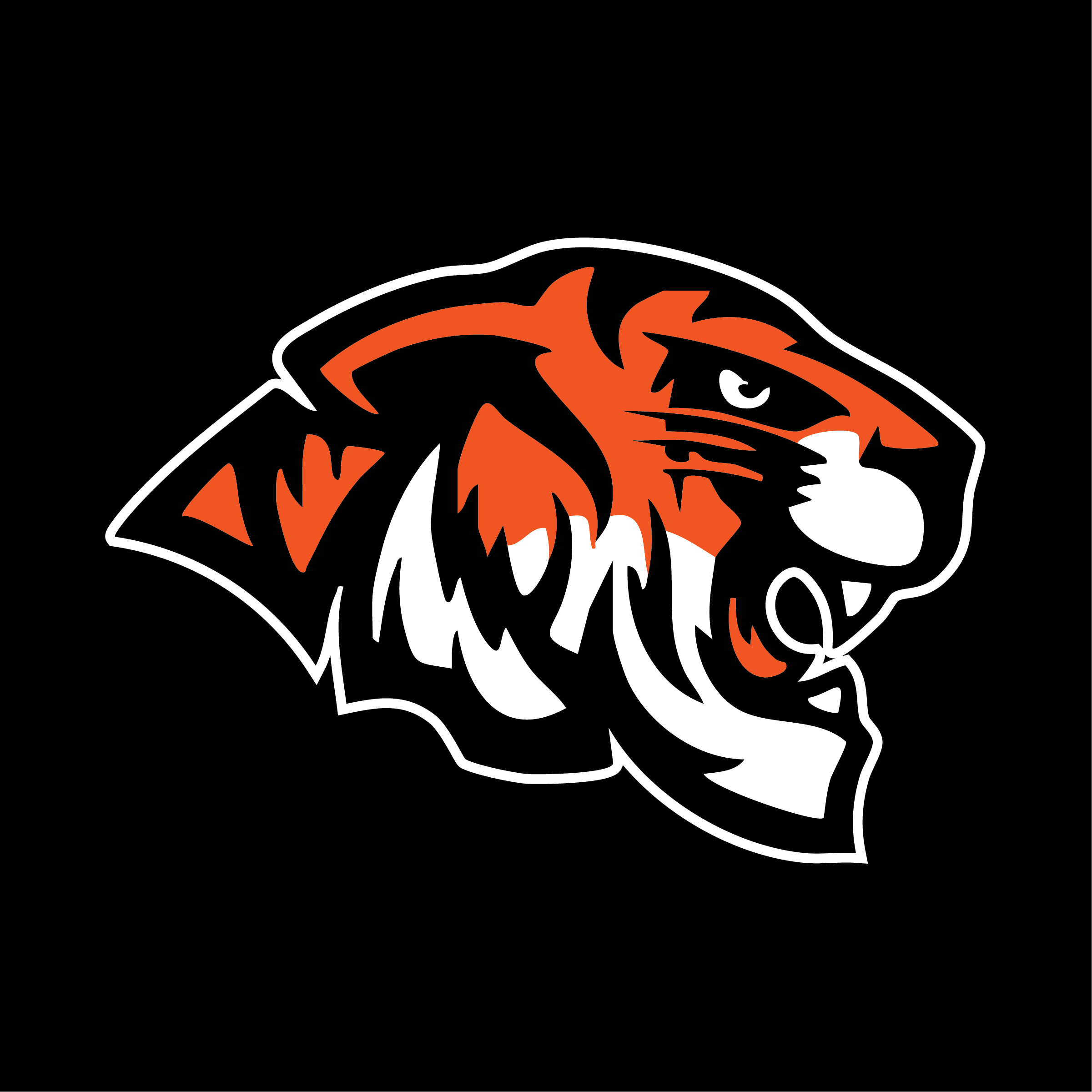 YAKSAK TEAM PATCHES: E - L