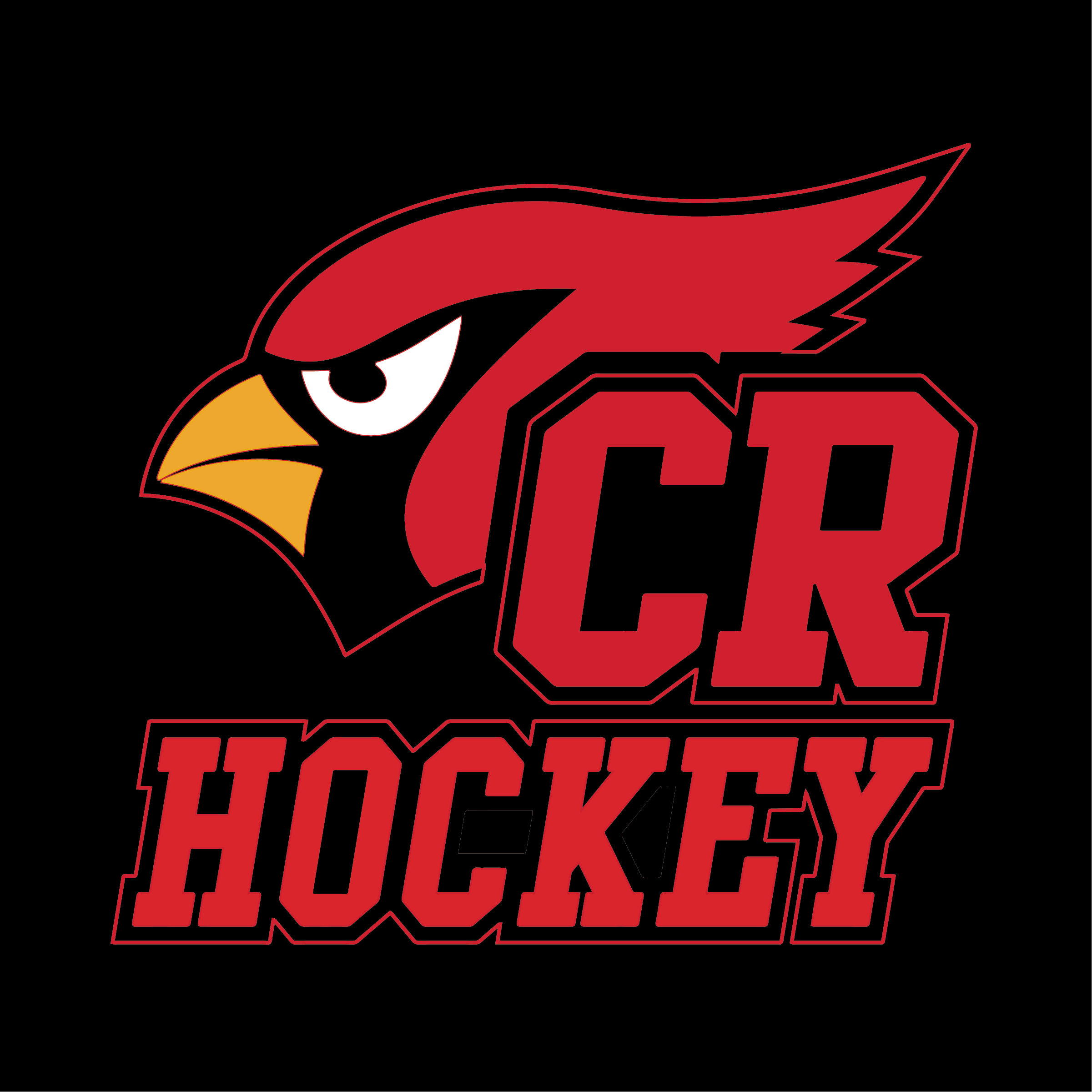 YAKSAK TEAM PATCHES: A - D