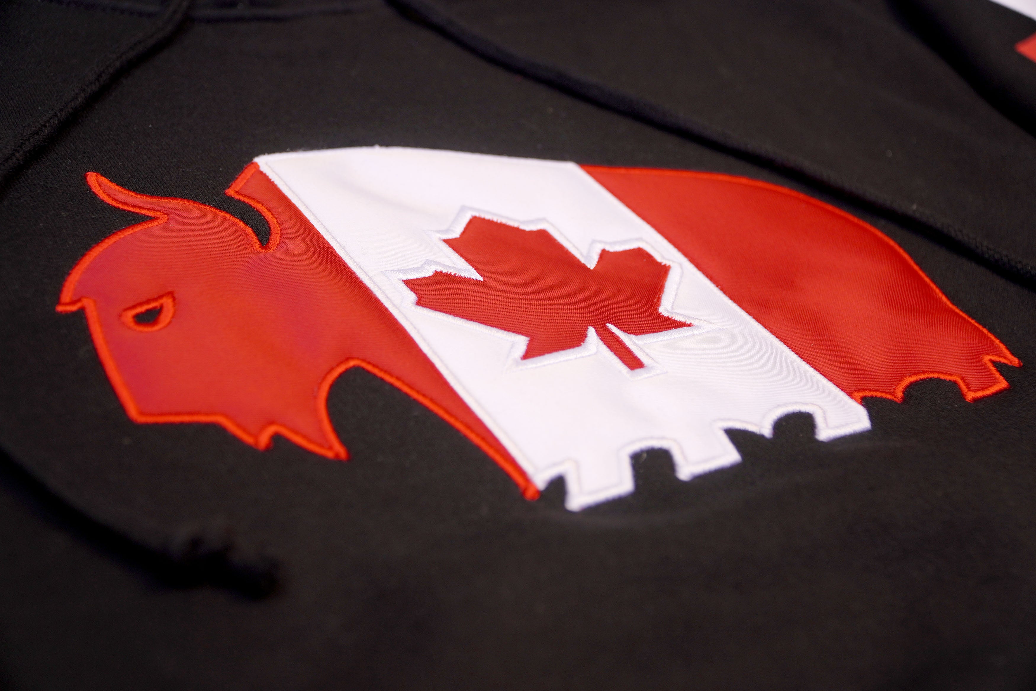 Close up of Canada Hoodie